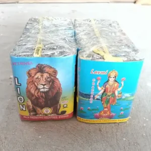4' Lakshmi