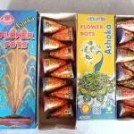 Flower Pots Asoka