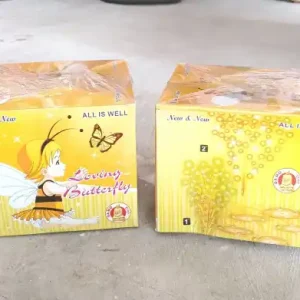 Music Butterfly (3 In1)