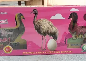 Emu Egg